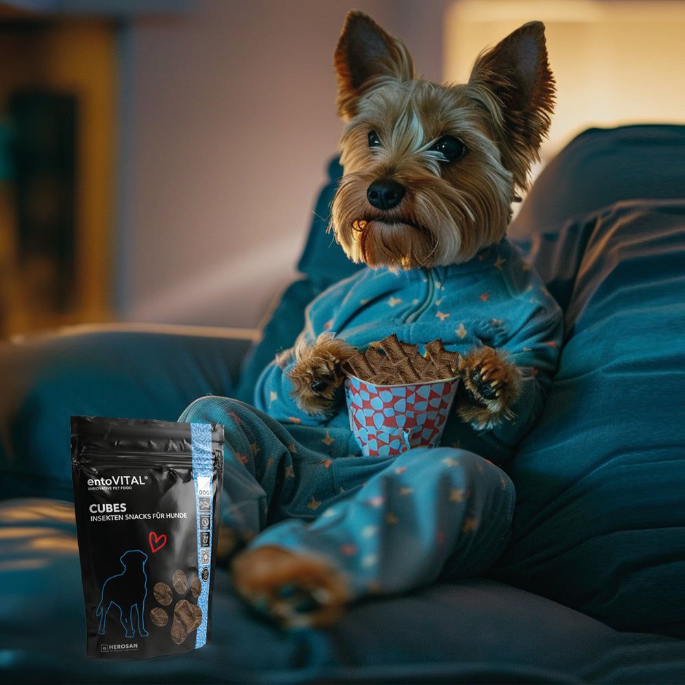 entoVITAL DOG ​​Cubes