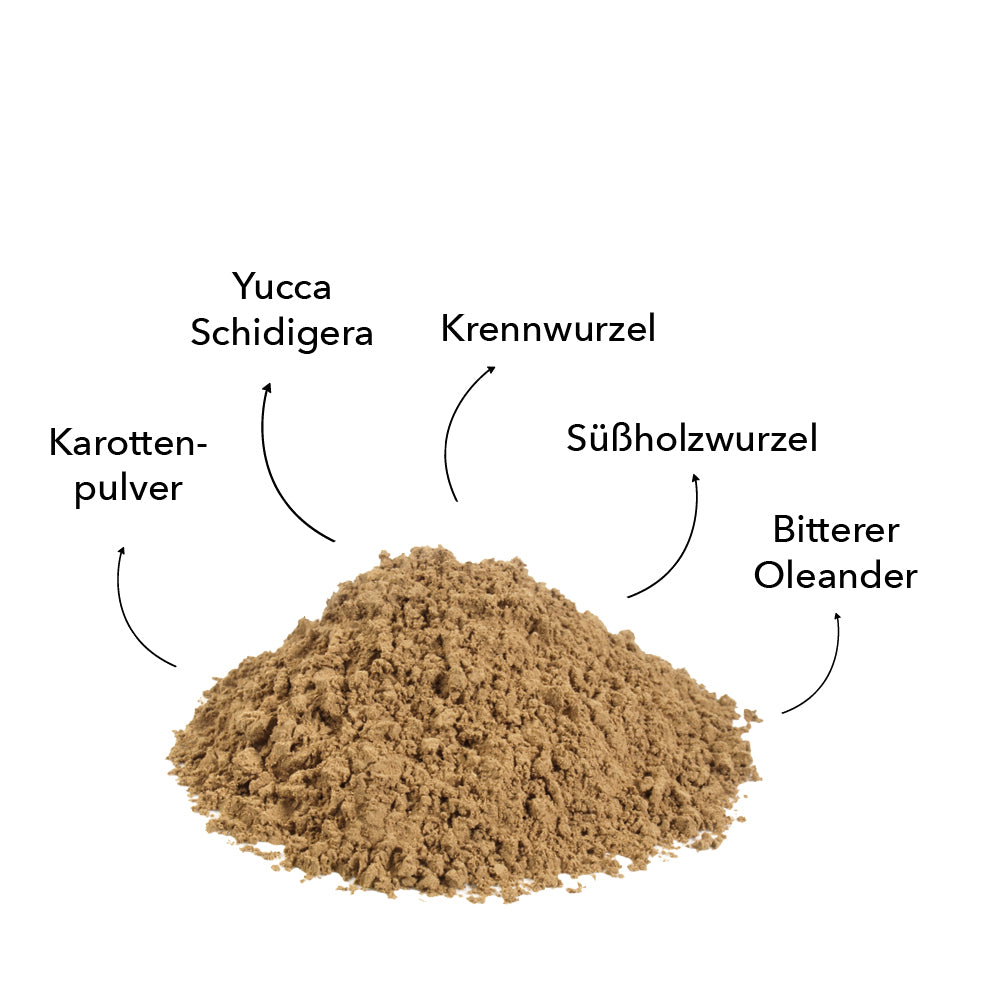 entoVITAL DOG d-para - Nahrungsergänzung