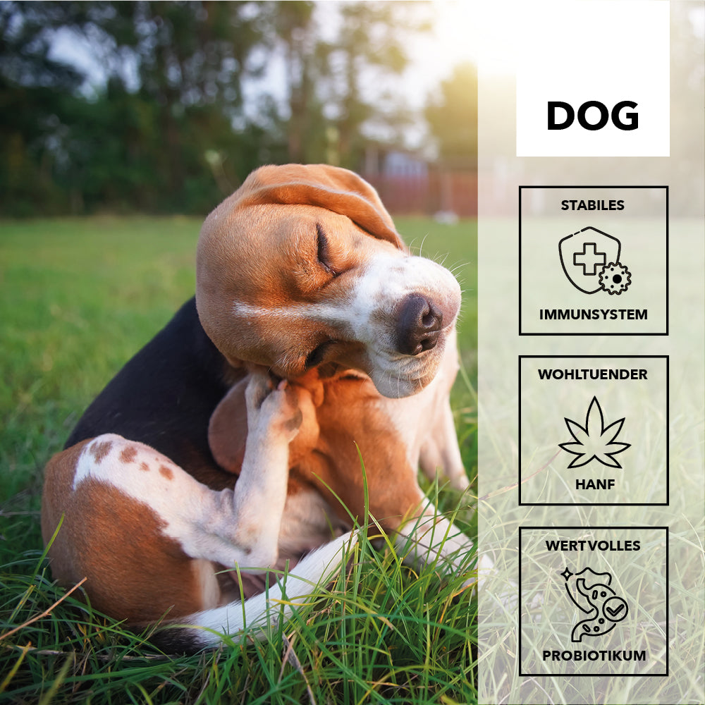 entoVITAL DOG ​​d-para - integratore alimentare
