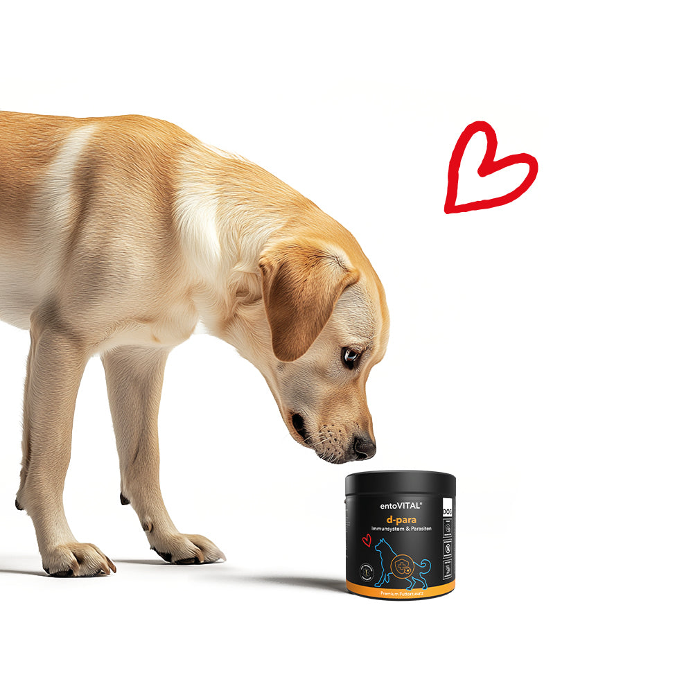 entoVITAL DOG ​​d-para - integratore alimentare