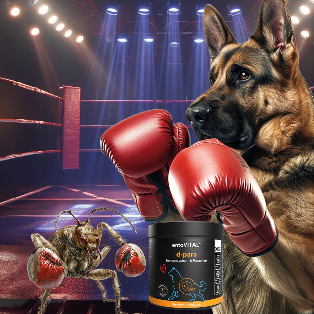 entoVITAL DOG ​​d-para - integratore alimentare