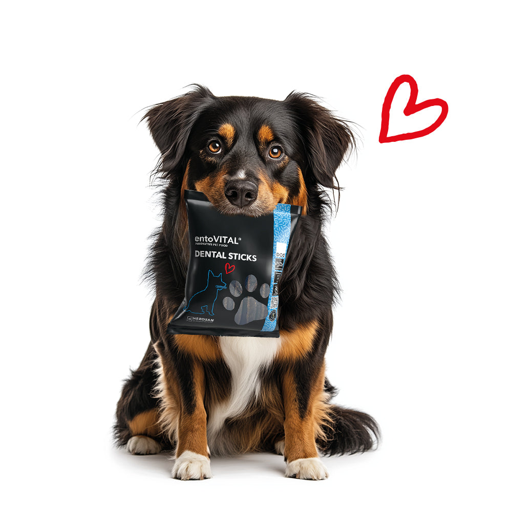 entoVITAL DOG Dental Sticks