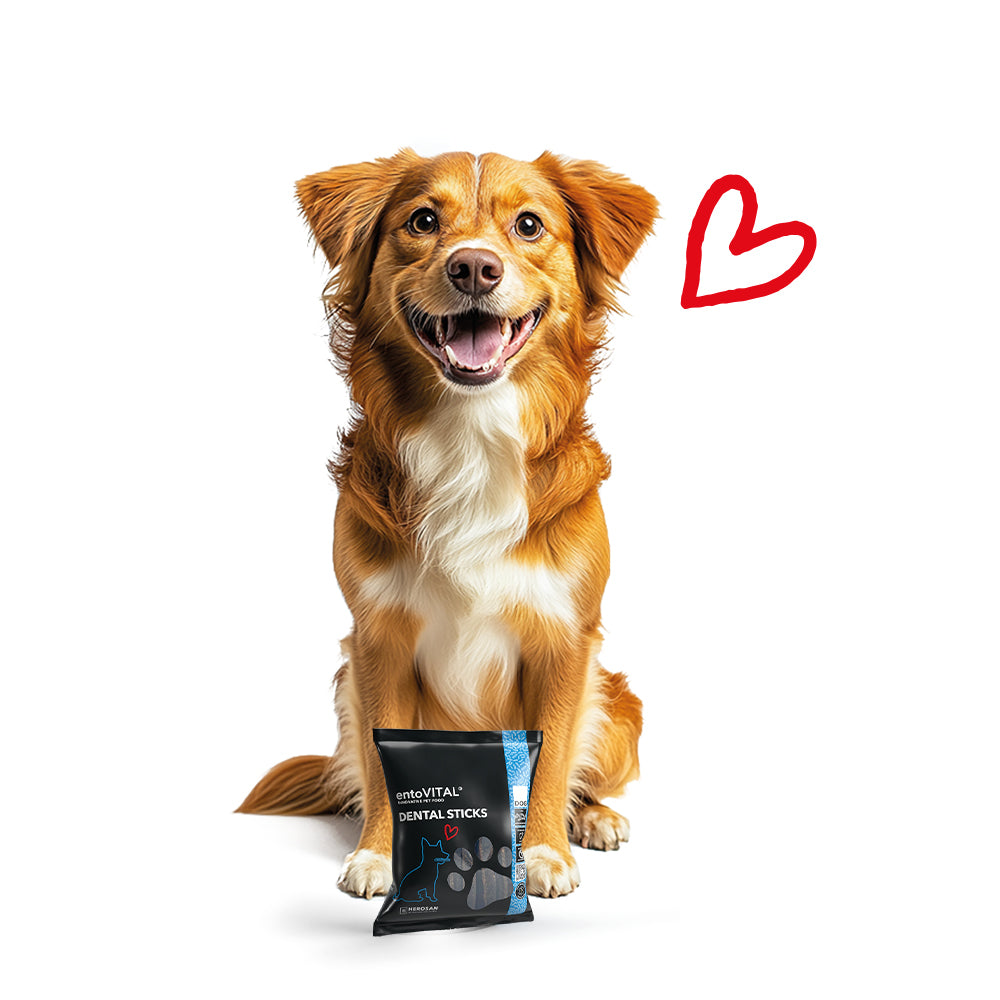 entoVITAL DOG Dental Sticks