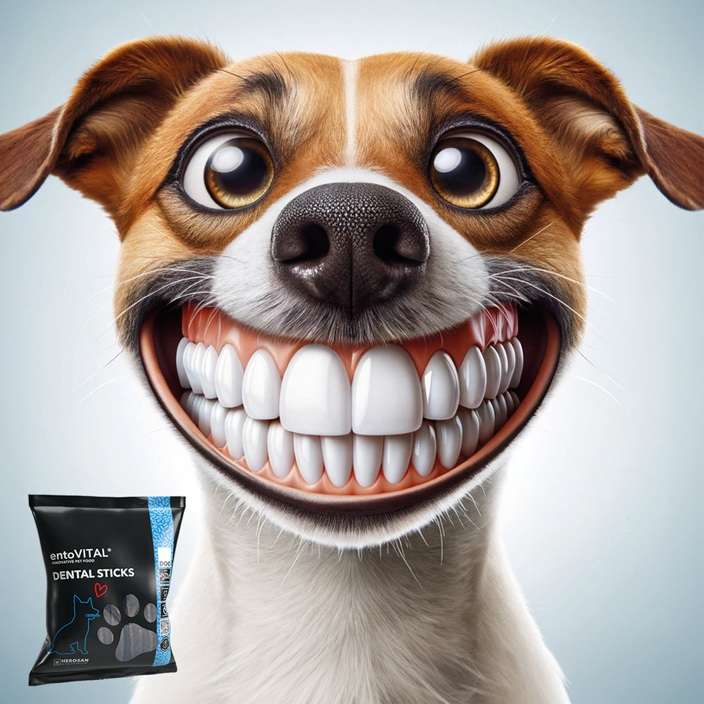 entoVITAL DOG Dental Sticks