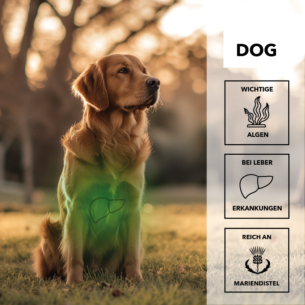 entoVITAL DOG detox - dietary supplement