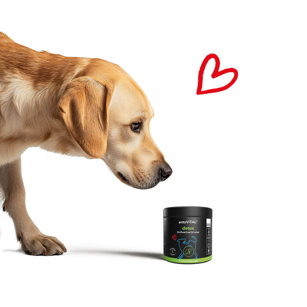 entoVITAL DOG detox - dietary supplement