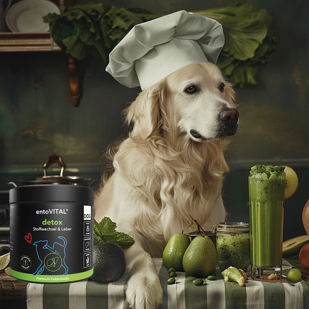 entoVITAL DOG detox - dietary supplement