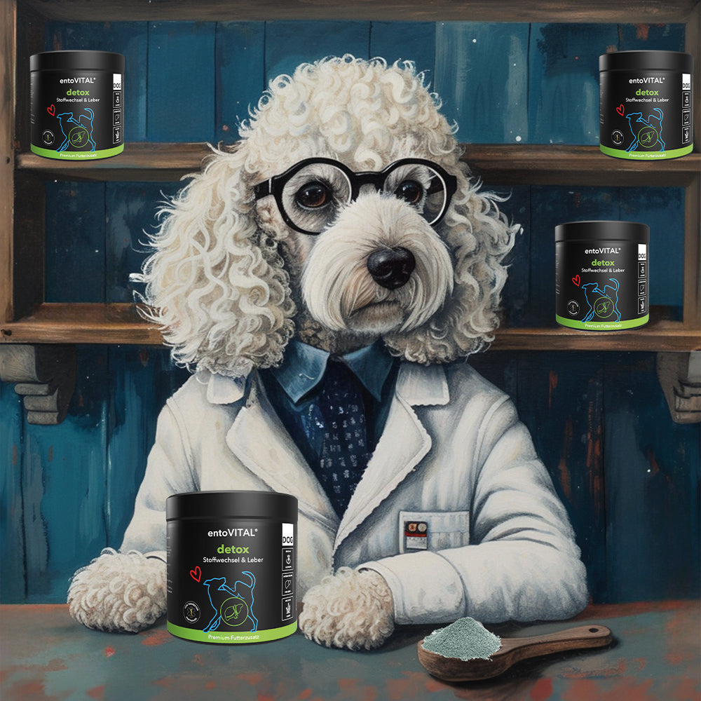 entoVITAL DOG detox - dietary supplement