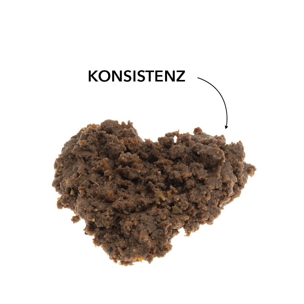 entoVITAL DOG hypoallergenic Nassfutter 375g