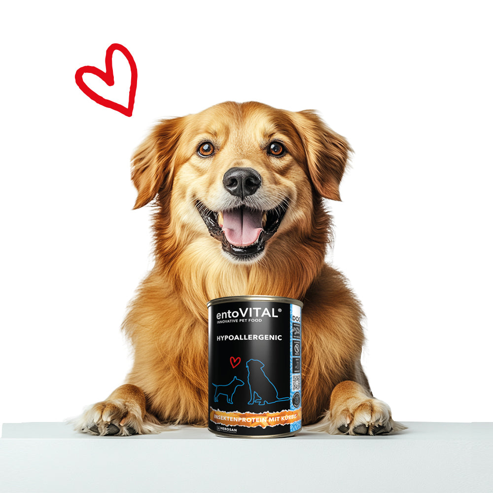 entoVITAL DOG hypoallergenic Nassfutter 375g