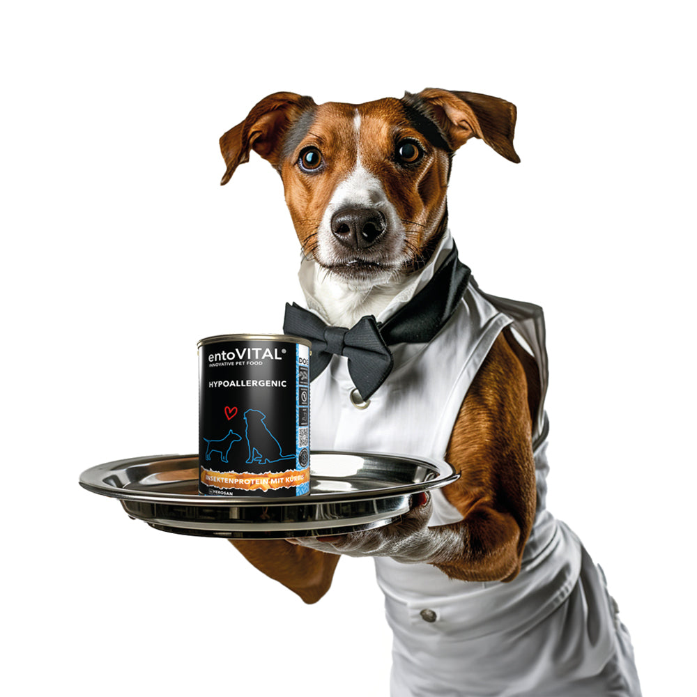 entoVITAL DOG hypoallergenic Nassfutter 375g