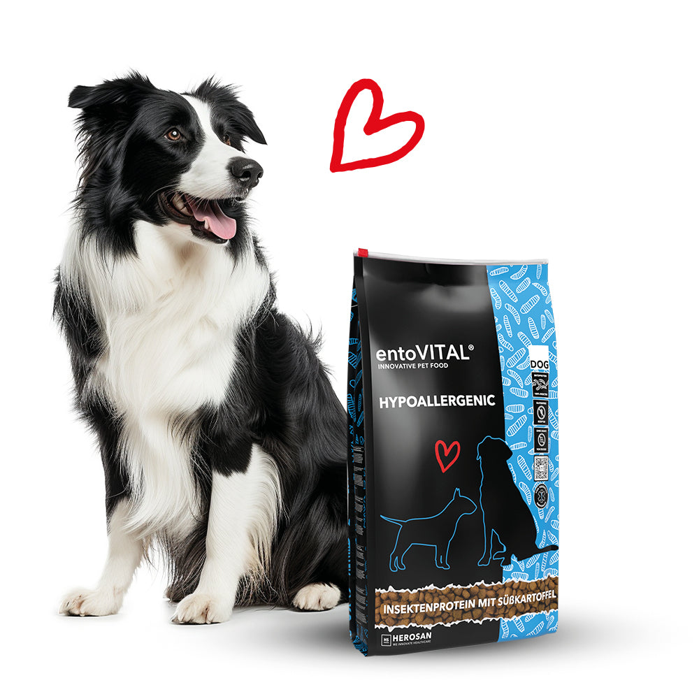 entoVITAL DOG ​​HYPOALLERGENIC 