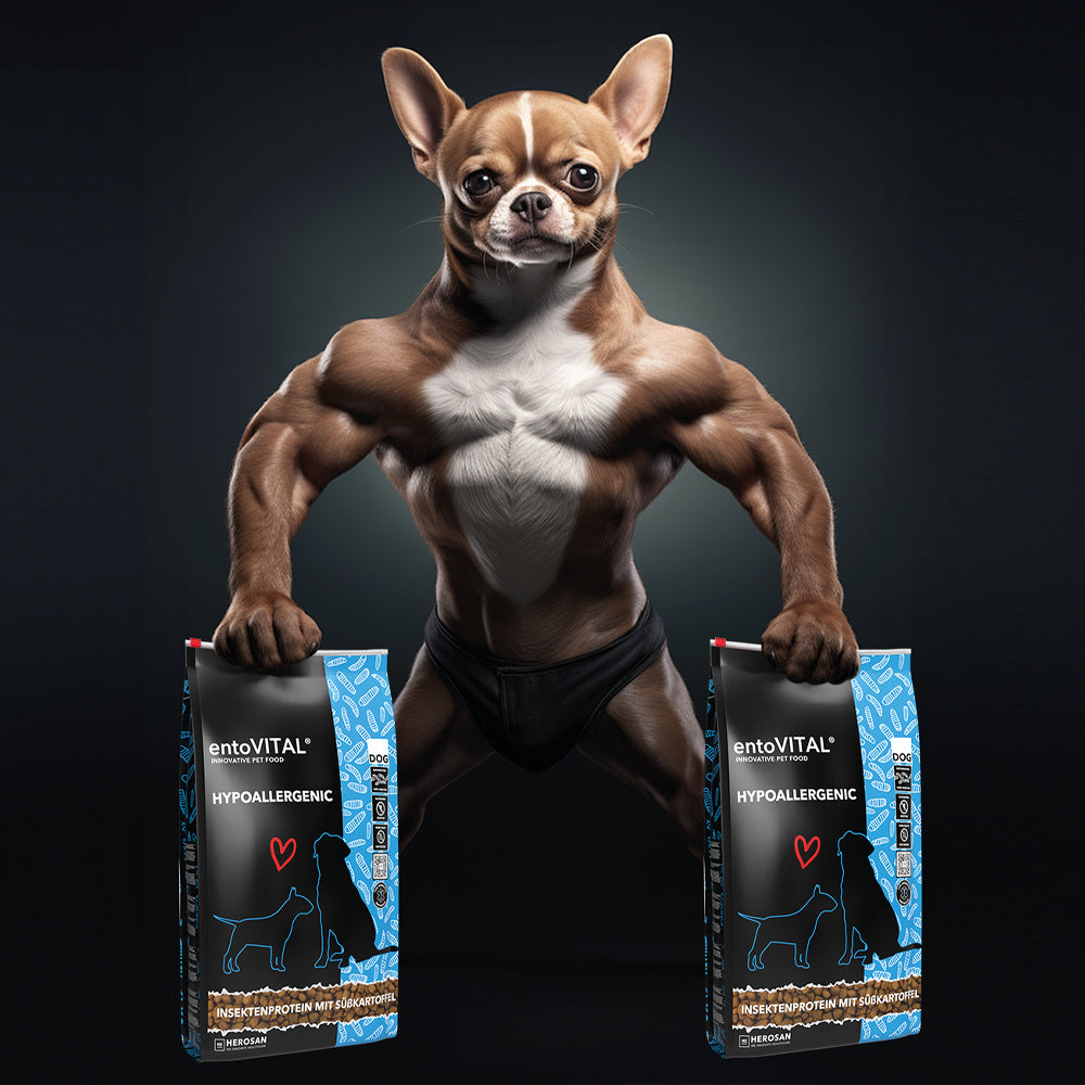entoVITAL DOG ​​HYPOALLERGENIC 