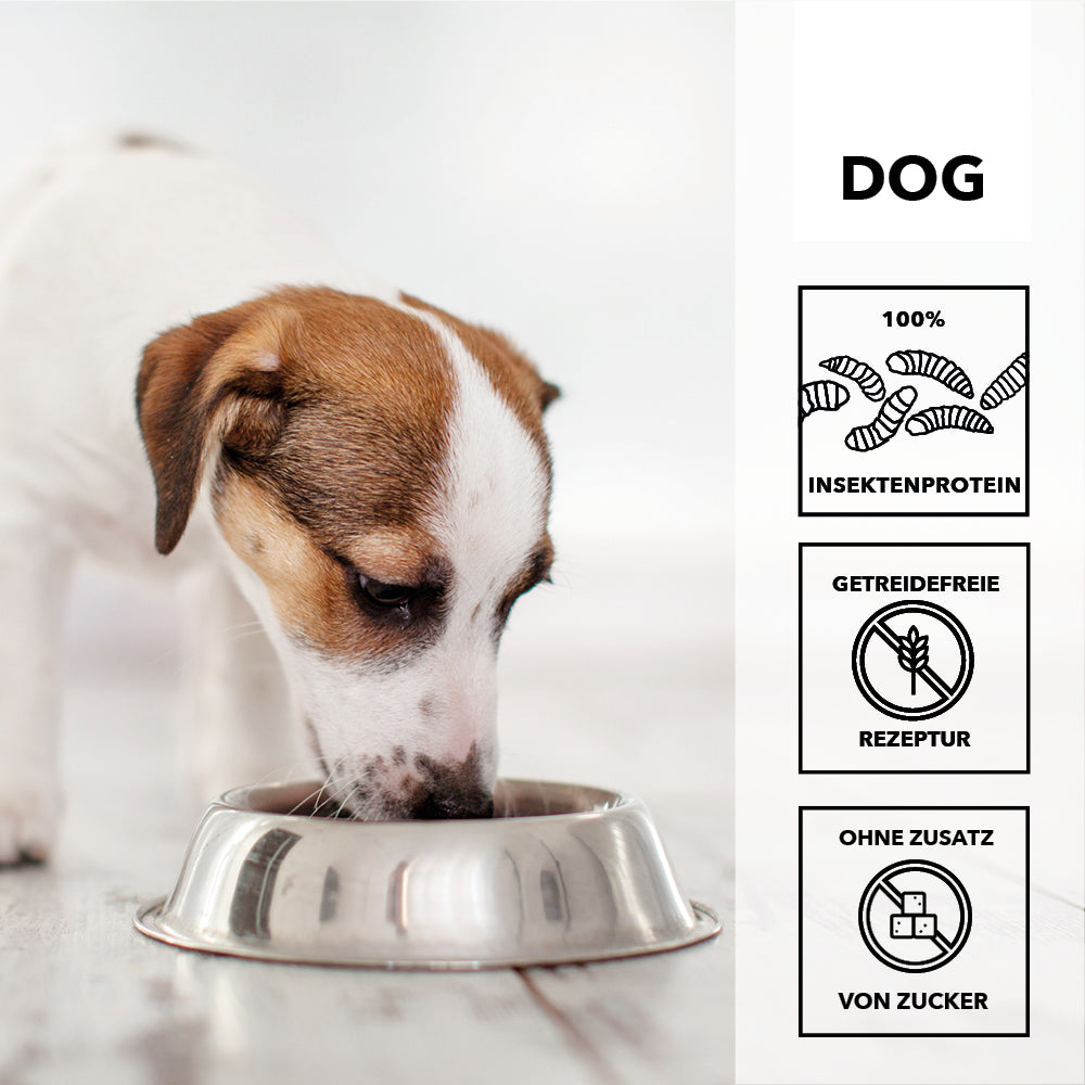 entoVITAL DOG ​​HYPOALLERGENIC 