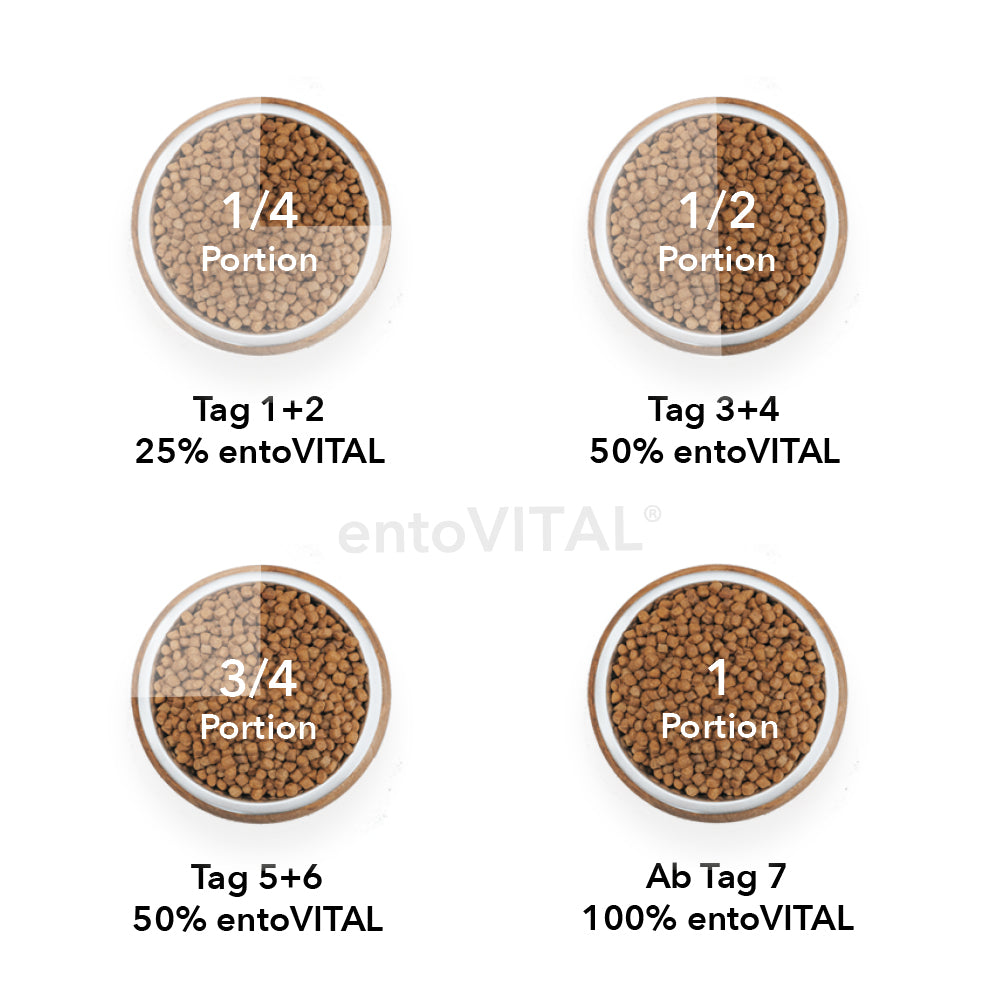 entoVITAL DOG ​​HYPOALLERGENIC 