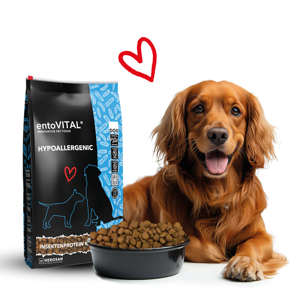 entoVITAL DOG ​​HYPOALLERGENIC 