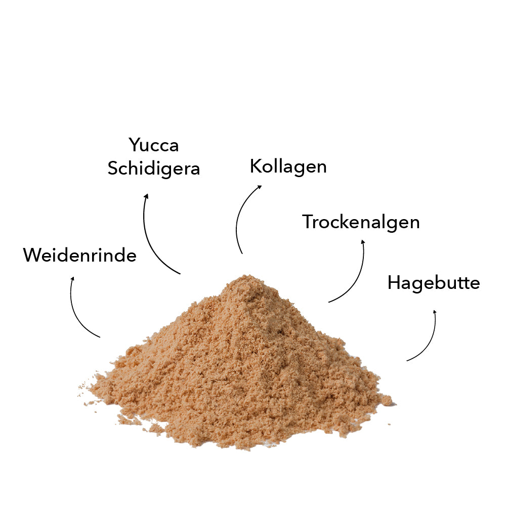 entoVITAL DOG move - Nahrungsergänzung
