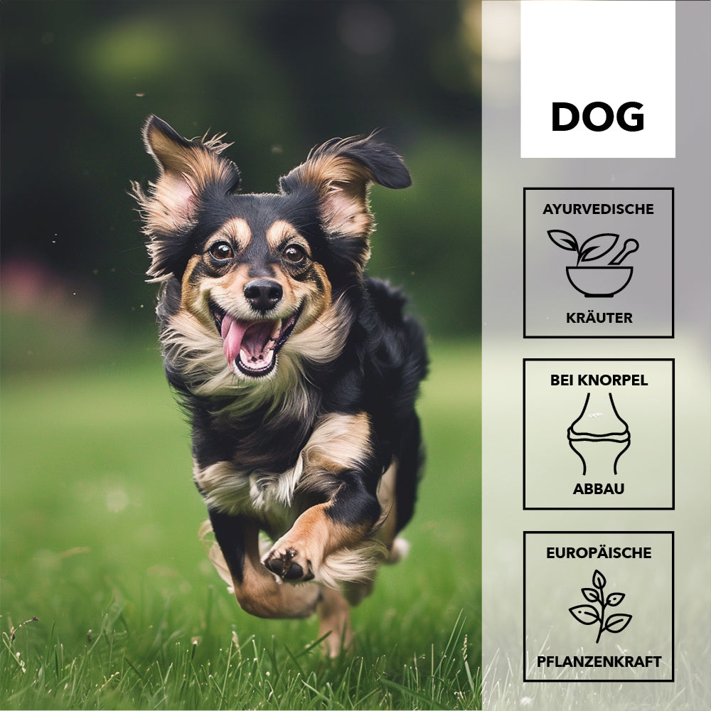 entoVITAL DOG ​​move - integratore alimentare