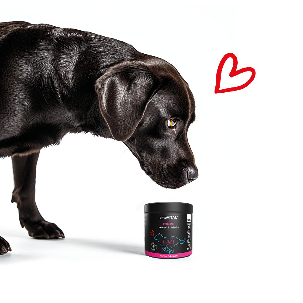 entoVITAL DOG move - Nahrungsergänzung
