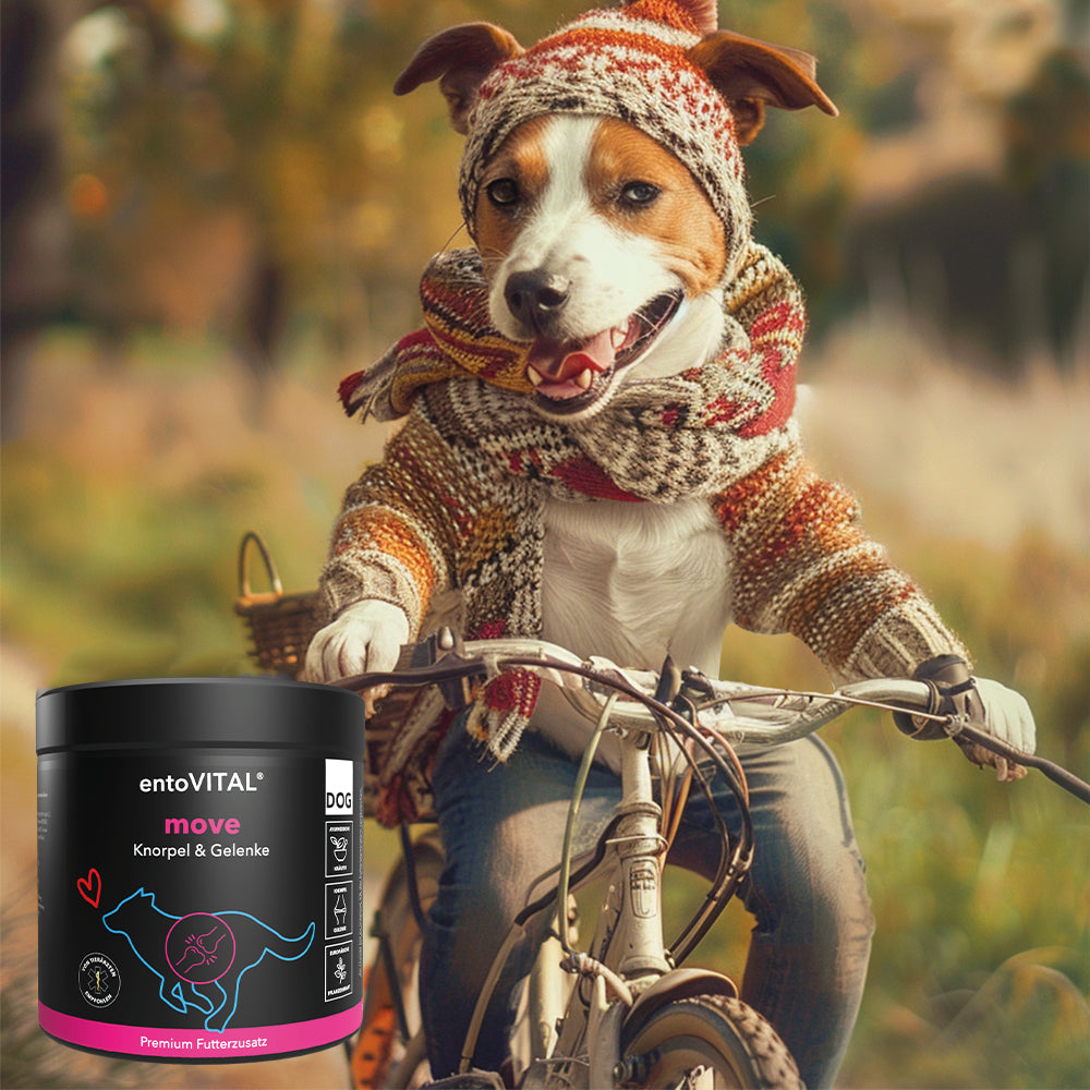 entoVITAL DOG ​​move - integratore alimentare