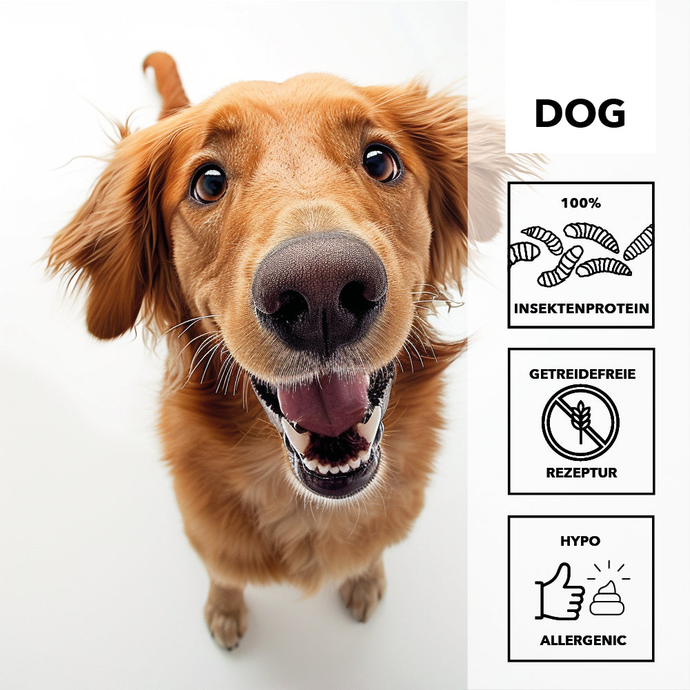 entoVITAL DOG ​​pasta gustosa (confezione da 6) 