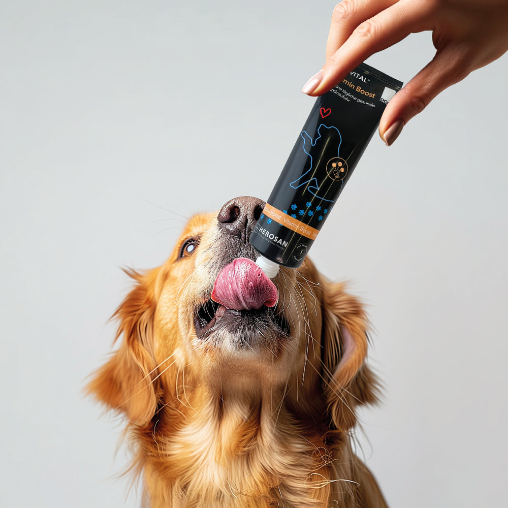 entoVITAL DOG ​​vitamin boost (PU 6 pcs.)