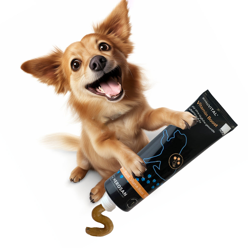 entoVITAL DOG ​​vitamin boost (PU 6 pcs.)