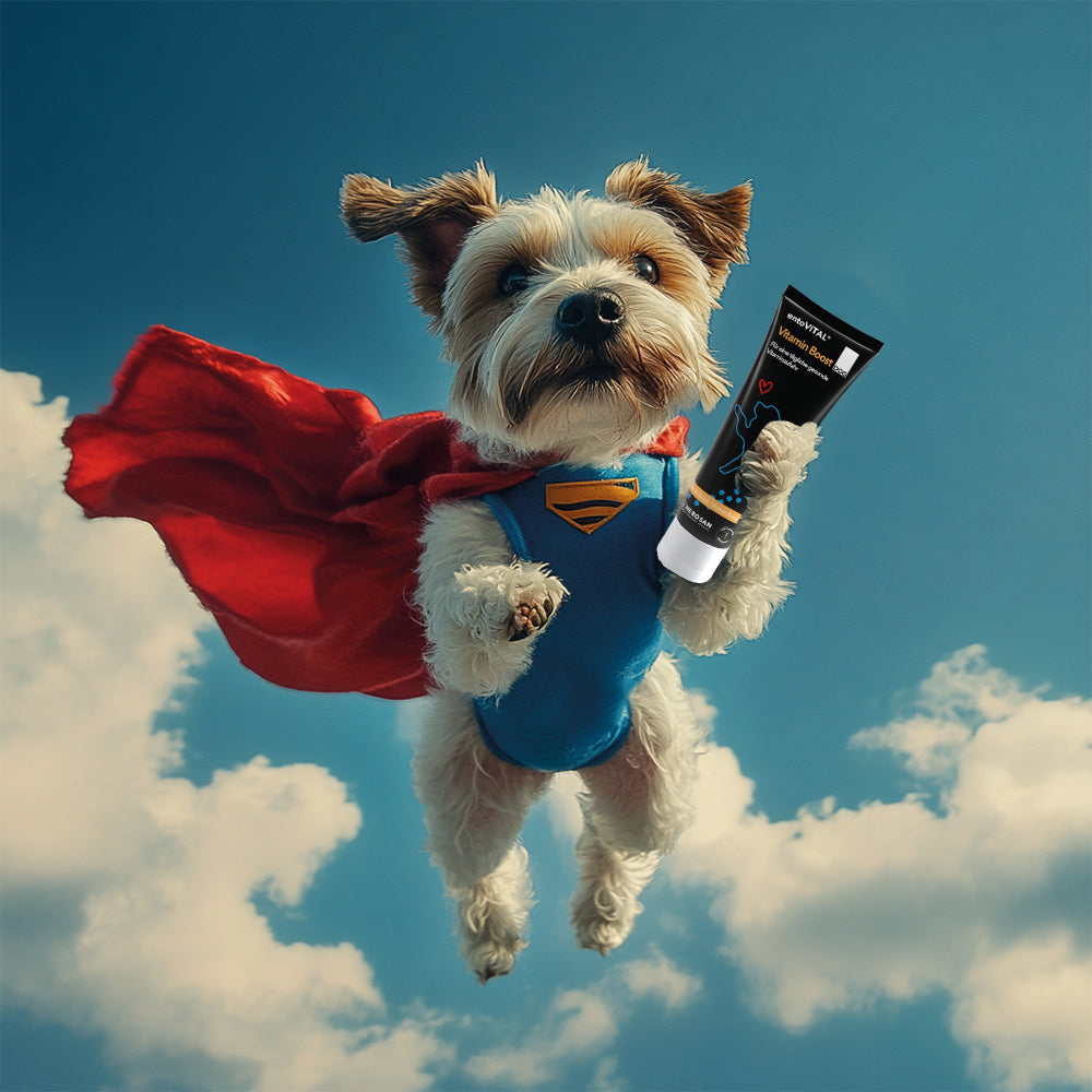 entoVITAL DOG ​​vitamin boost (PU 6 pcs.)