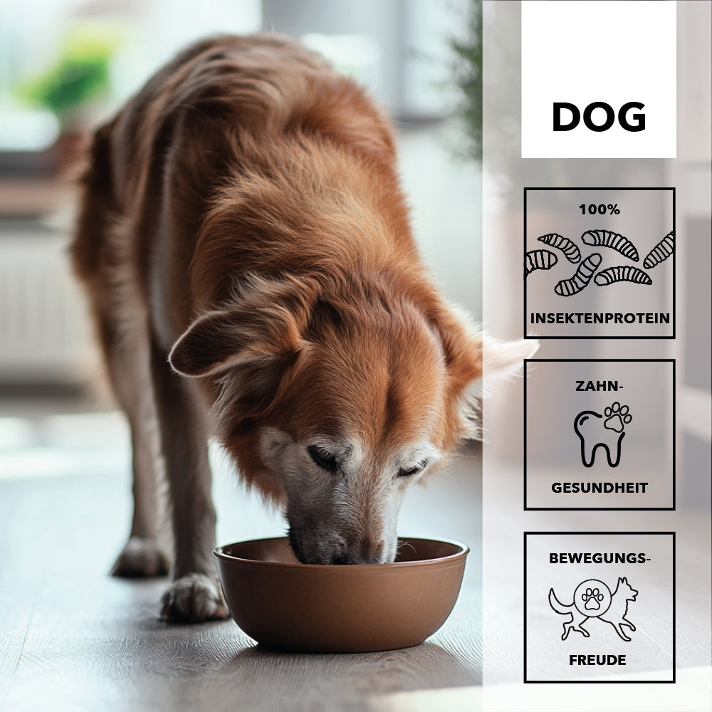 entoVITAL DOG ​​SENIOR