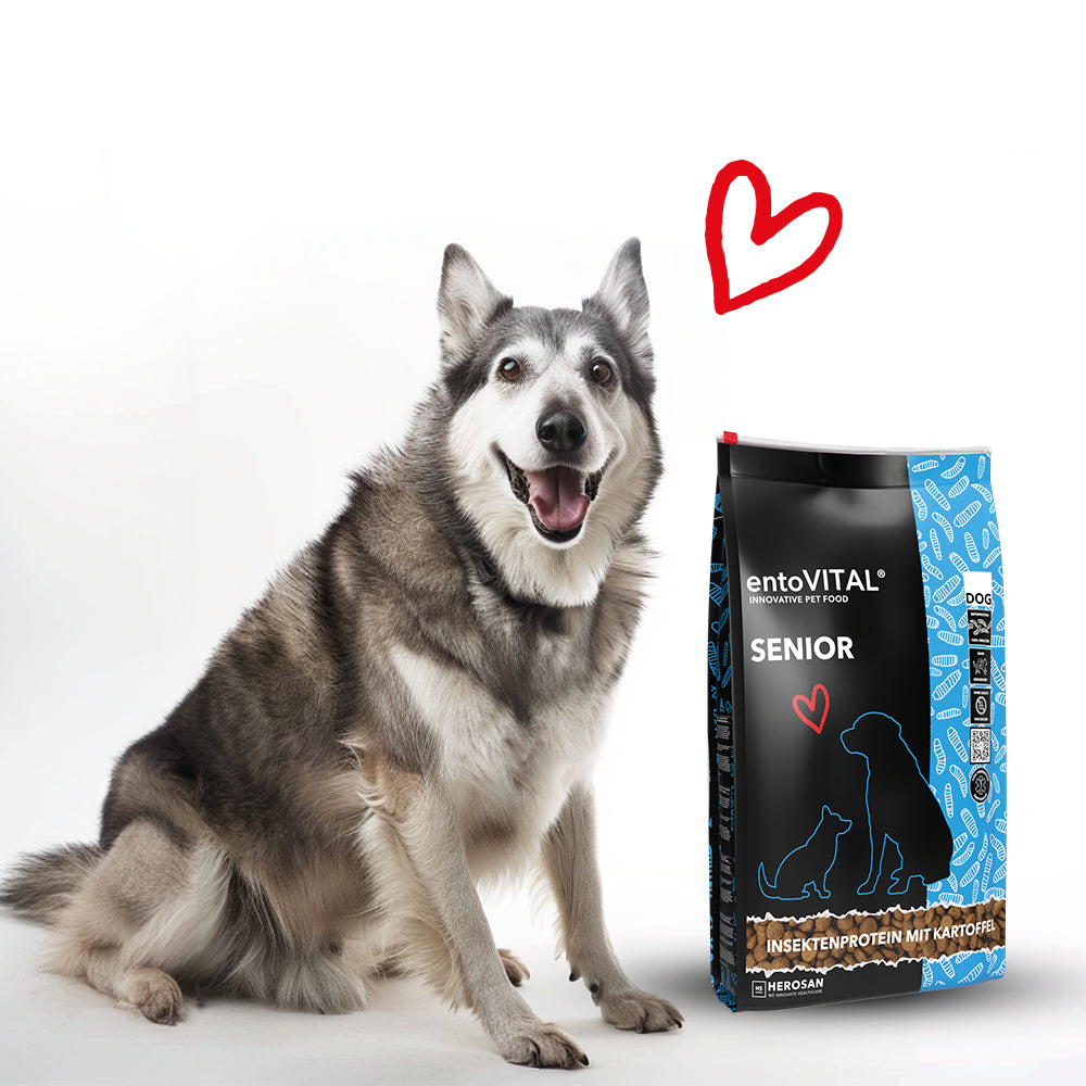 entoVITAL DOG ​​SENIOR