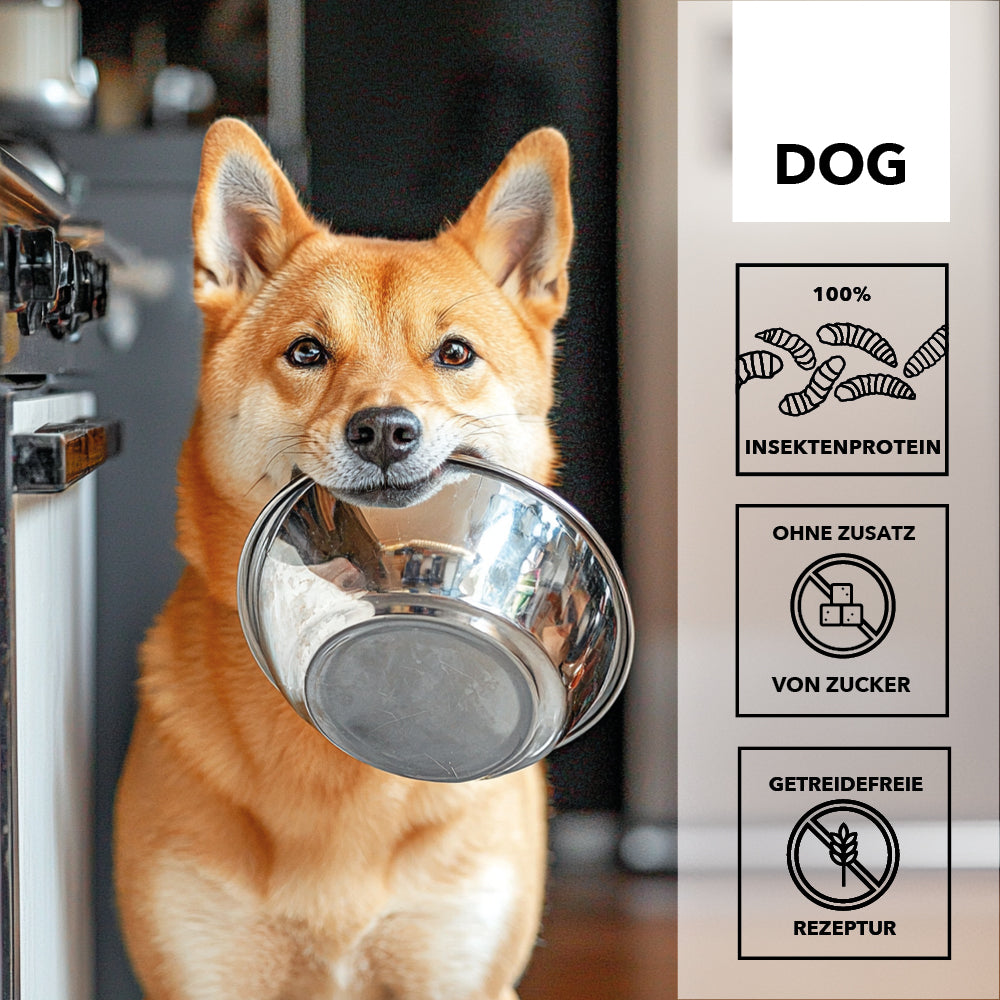 entoVITAL DOG SENSITIV Nassfutter 375g