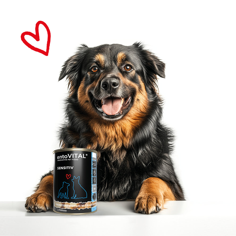 entoVITAL DOG SENSITIV Nassfutter 375g