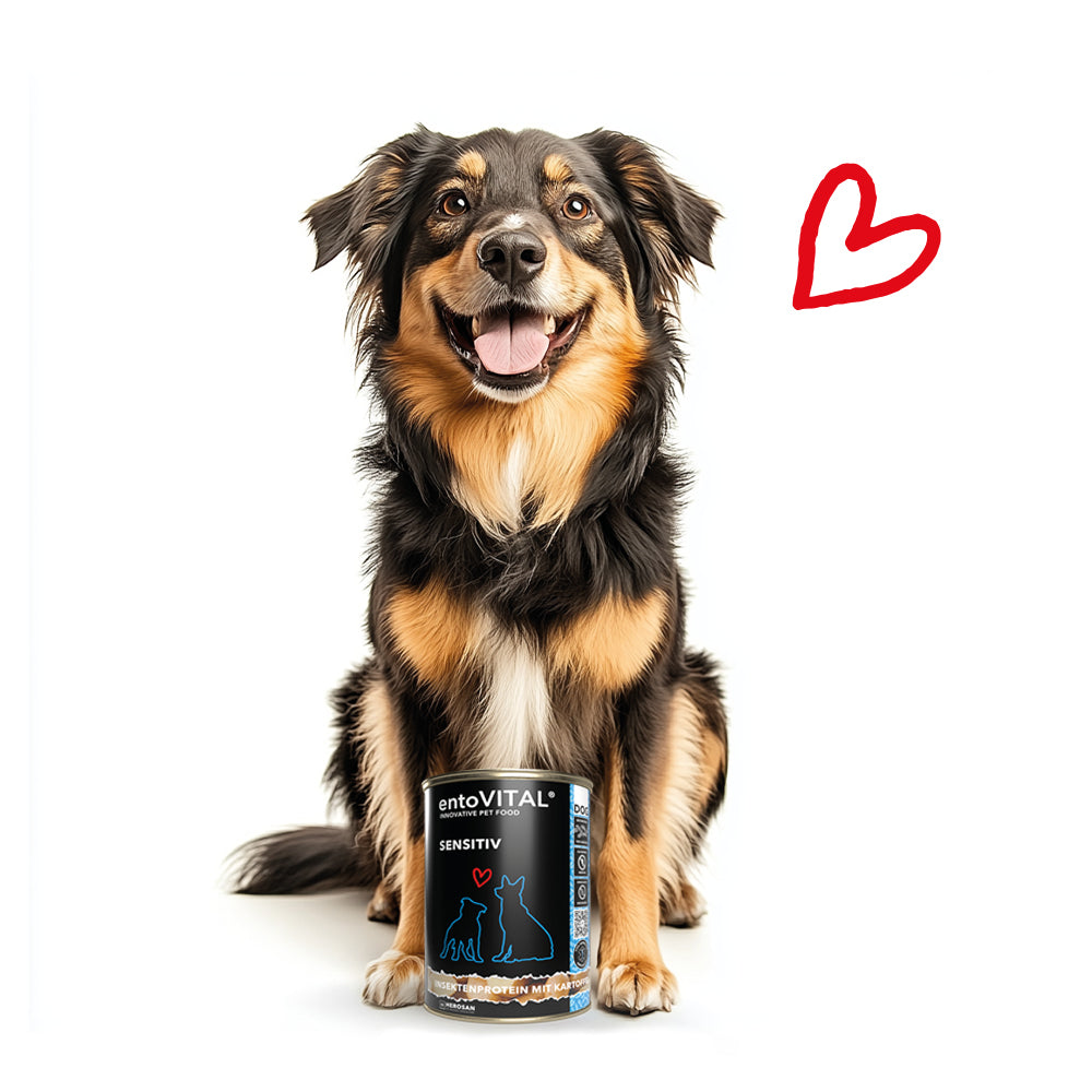 entoVITAL DOG SENSITIV Nassfutter 375g