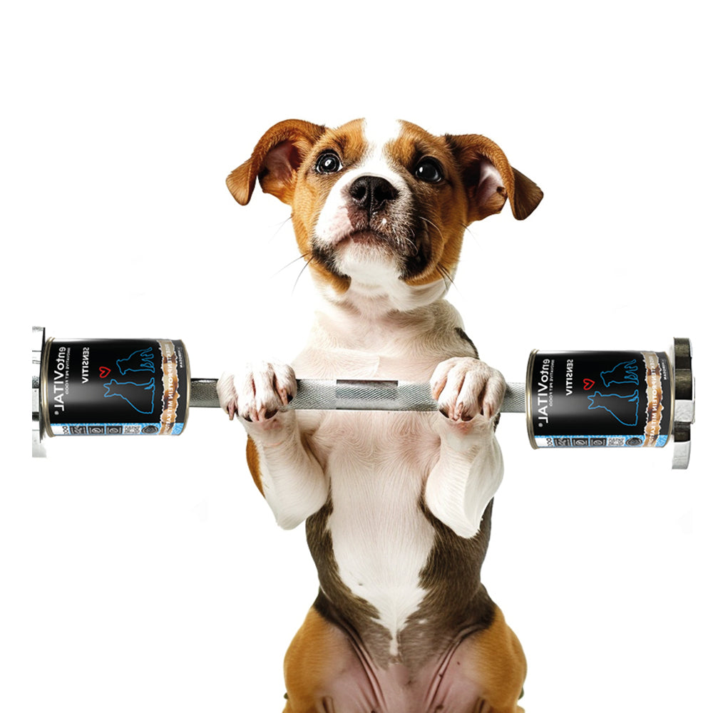 entoVITAL DOG ​​SENSITIVE wet food 