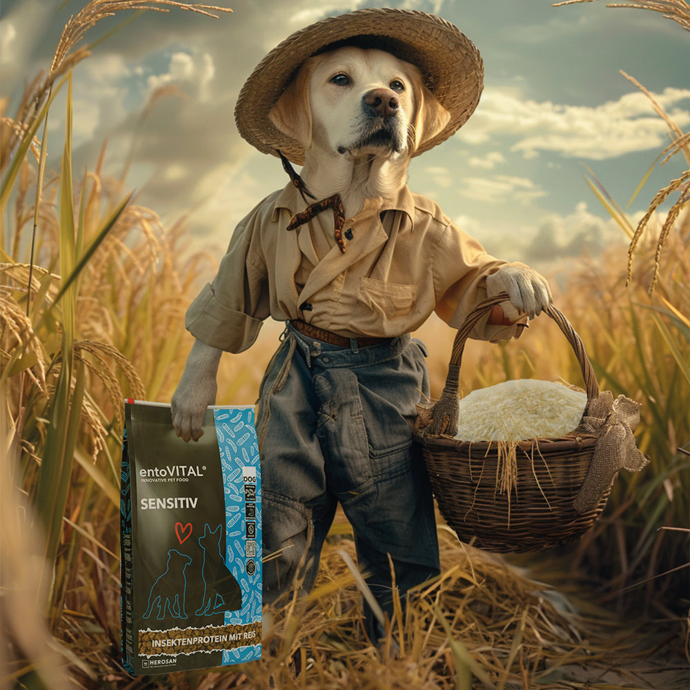 entoVITAL DOG ​​SENSITIVE
