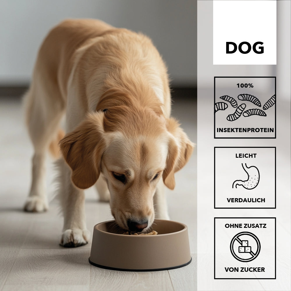 entoVITAL DOG ​​SENSITIVE