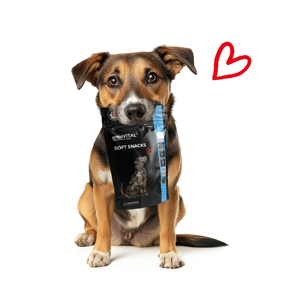 entoVITAL DOG ​​Snack Morbidi