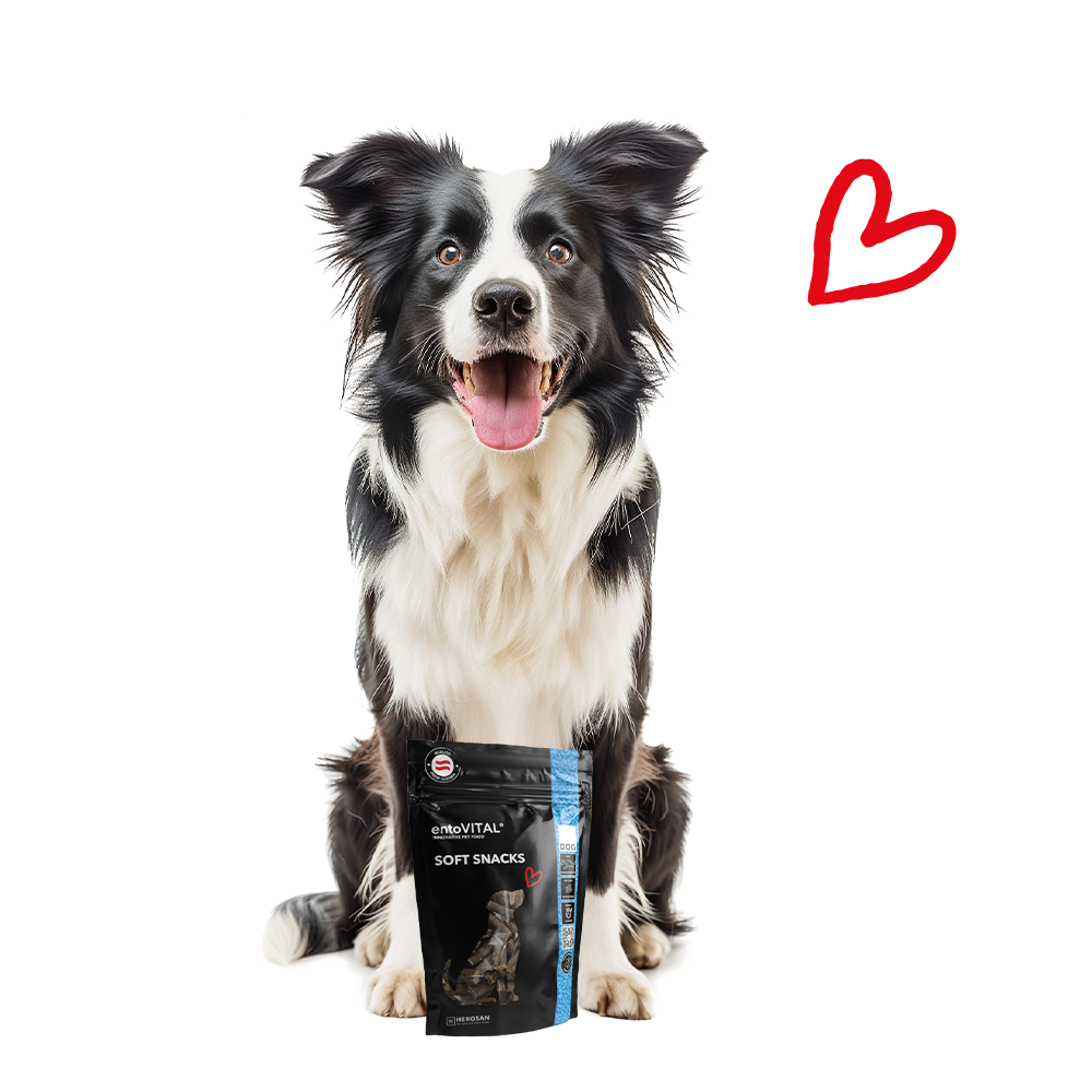 entoVITAL DOG ​​Snack Morbidi