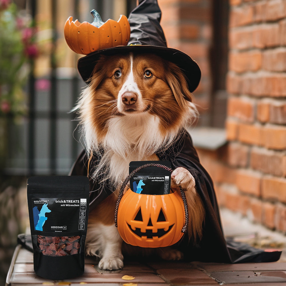 entoVITAL DOG ​​dolcetti e dolcetti