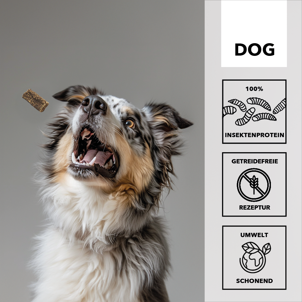 10x entoVITAL DOG ​​Soft Snacks Ipoallergenici