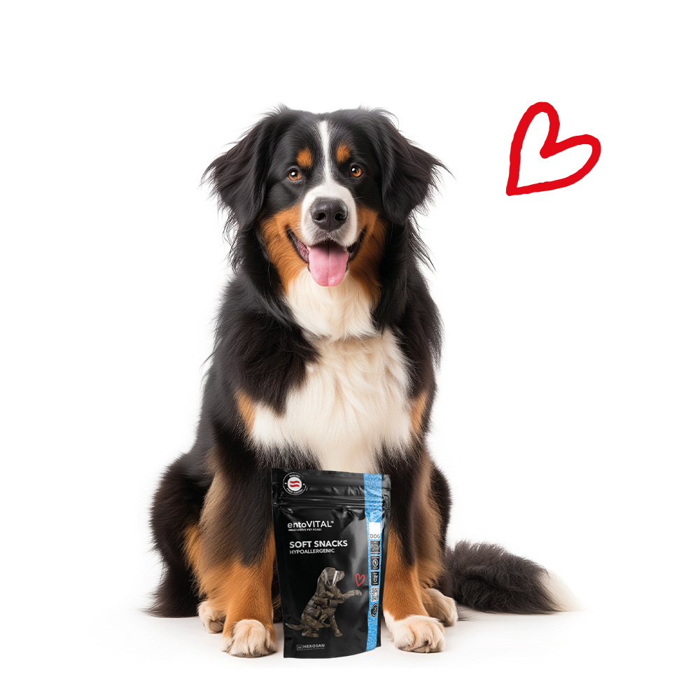 10x entoVITAL DOG ​​Soft Snacks Ipoallergenici