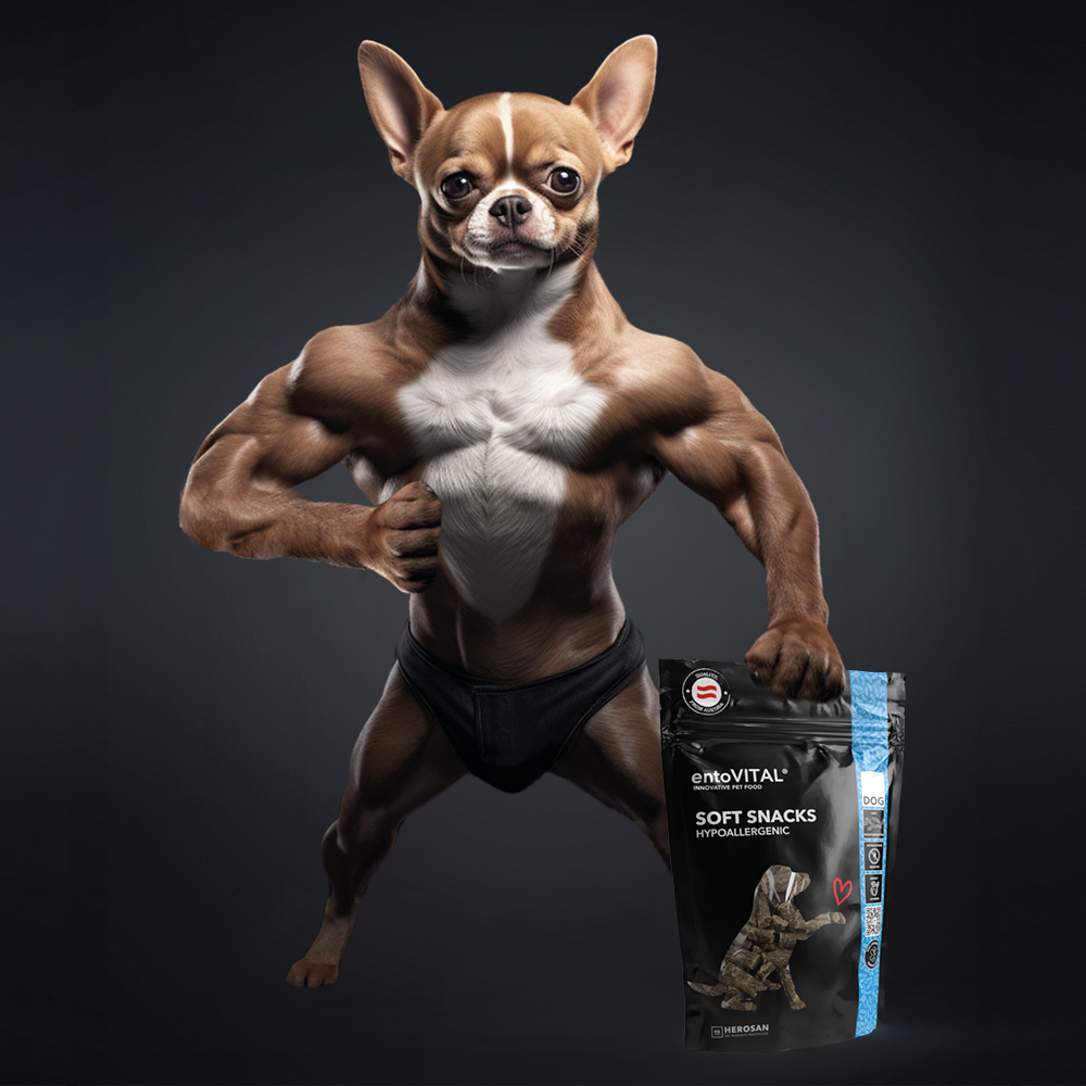 10x entoVITAL DOG ​​Soft Snacks Ipoallergenici