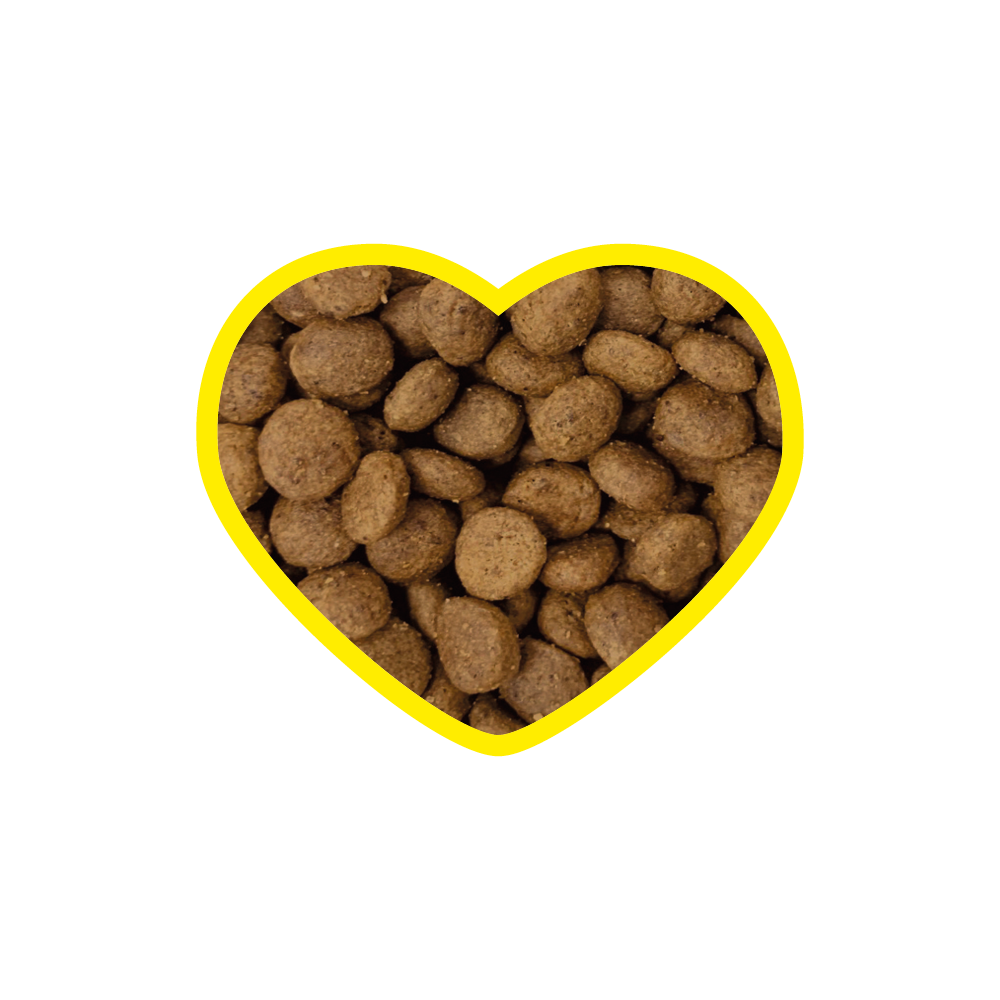 Foto von braunen kibble-förmigen Stücken der entoVITAL® CAT hypoallergenic Trockennahrung. Speziell formuliert für ernährungssensible Katzen, basierend auf Insektenprotein und Süßkartoffel.
