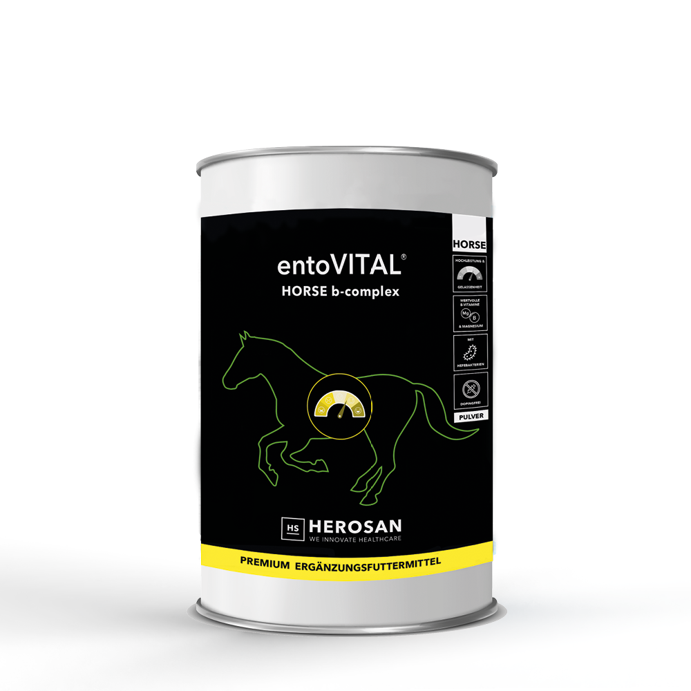 Foto der geschlossenen 1000g Dose von entoVITAL® HORSE b-complex, die ein hellbraunes Pulver als Ergänzungsfuttermittel für Pferde enthält. Das Produkt ist reich an B-Vitaminen und Magnesium und wurde speziell entwickelt, um das Nervensystem und die Muskelkraft von Hochleistungspferden zu unterstützen.