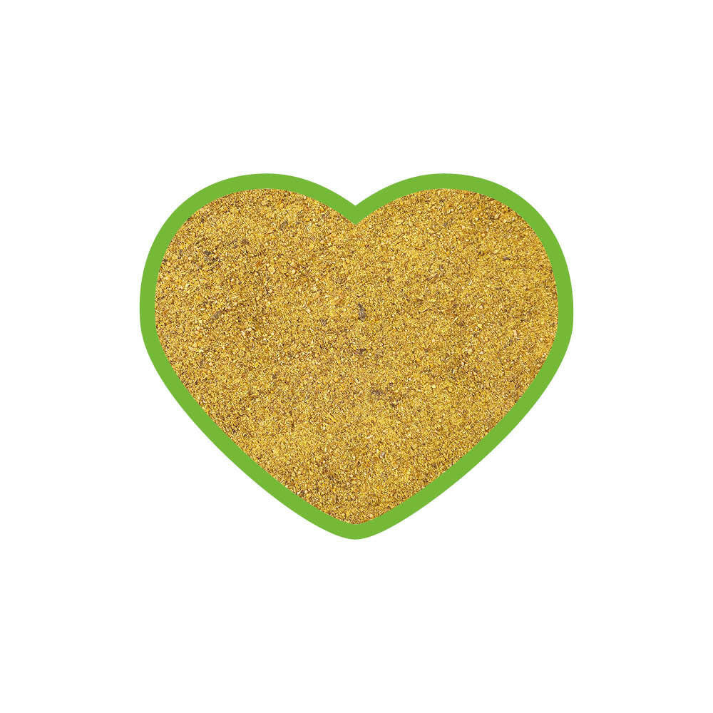 Foto des Ergänzungsfuttermittels entoVITAL® HORSE detox in Form eines hellbraunen Pulvers. Das Produkt ist reich an Neem, Sylimarin und anderen Mineralstoffen und Aminosäuren, die speziell zur Unterstützung der Leber und des Stoffwechsels von Pferden entwickelt wurden.