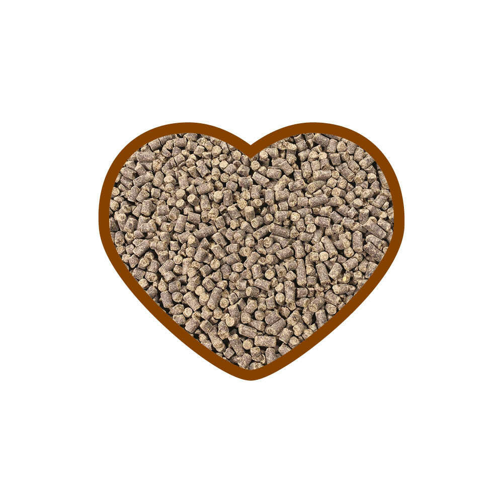 Foto der melassefreien, dopingfreien Ergänzungsfuttermittel-Pellets entoVITAL® HORSE gastric health. Die braunen Pellets sind reich an Puffersubstanzen, magenberuhigenden Kräutern und Vitaminen, konzipiert zur Unterstützung der Magengesundheit von Pferden.