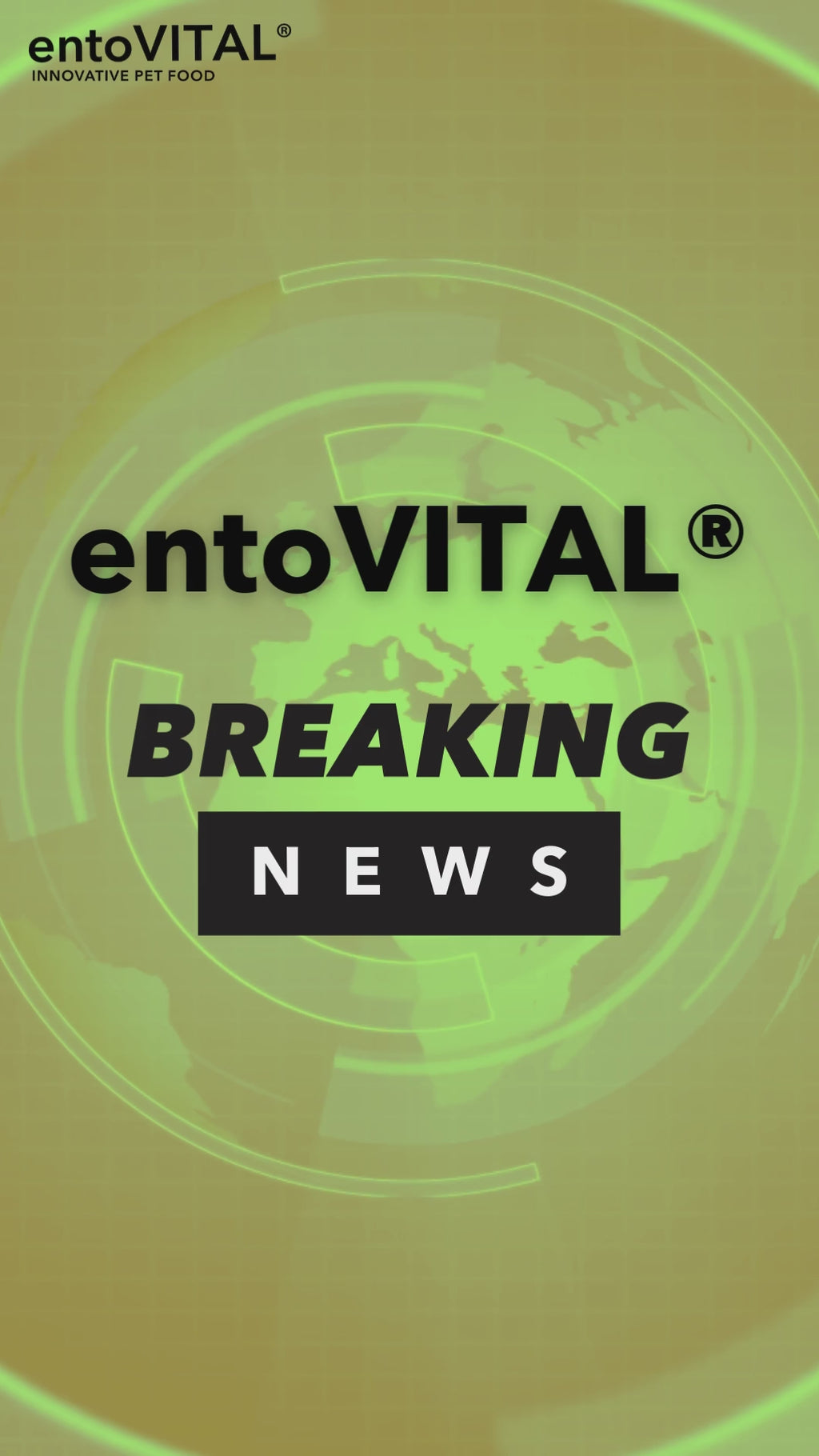 entoVITAL CAT HYPOALLERGENIC