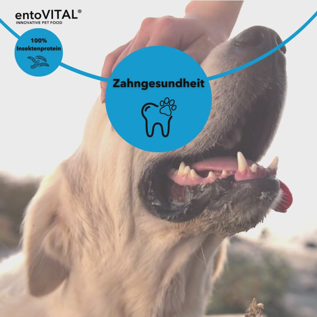 entoVITAL DOG SENIOR