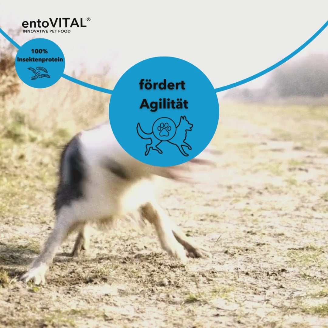 entoVITAL DOG ​​ADULT